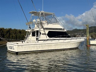 2010 Capricorn Classic 40 - Thumbnail