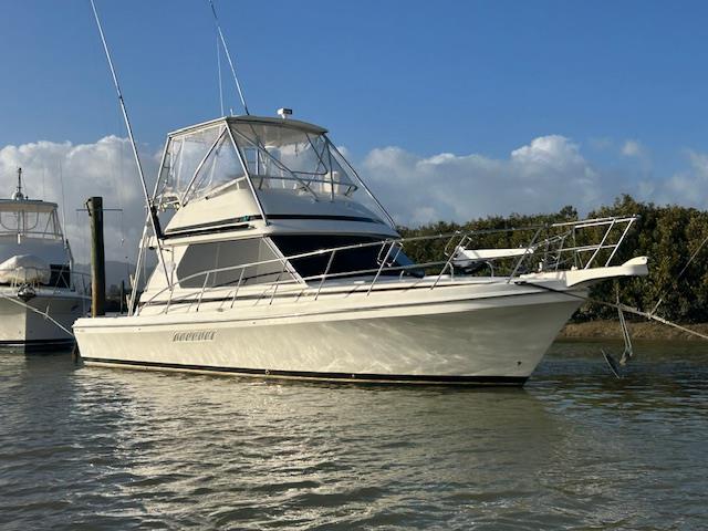 2010 Capricorn Classic 40